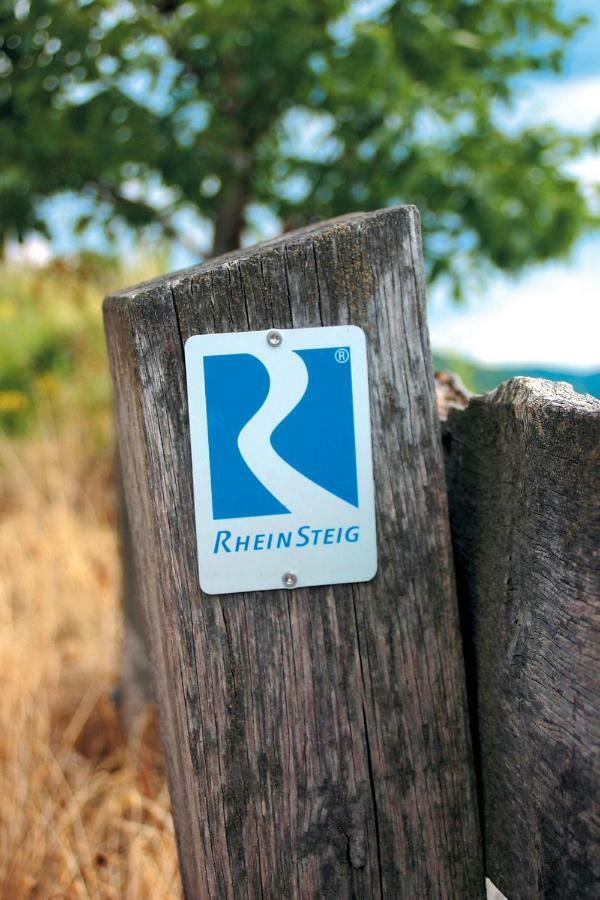 Rheinblick Eg